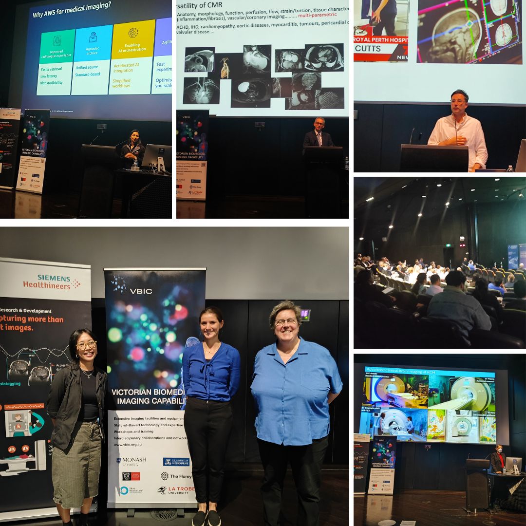 VBIC Network Meeting Collage